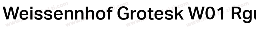 Weissennhof Grotesk W01 Rgular字体转换